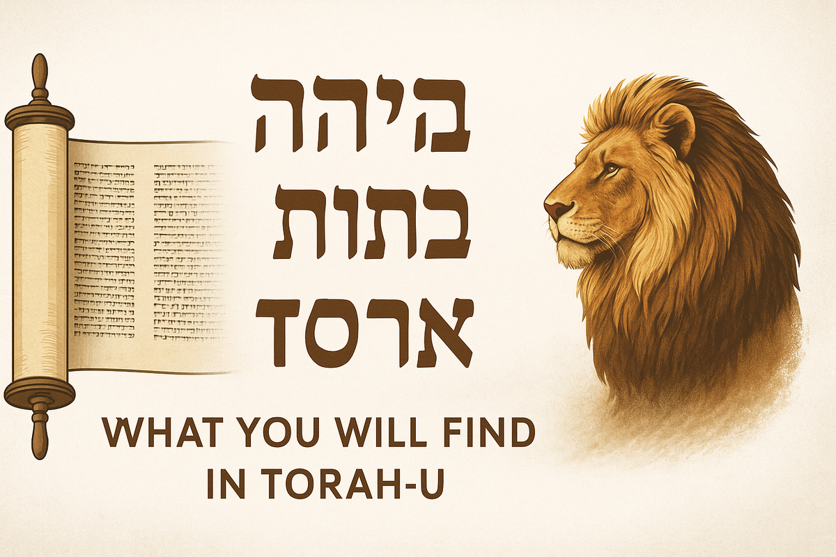 What You Will Find in Torah‑U